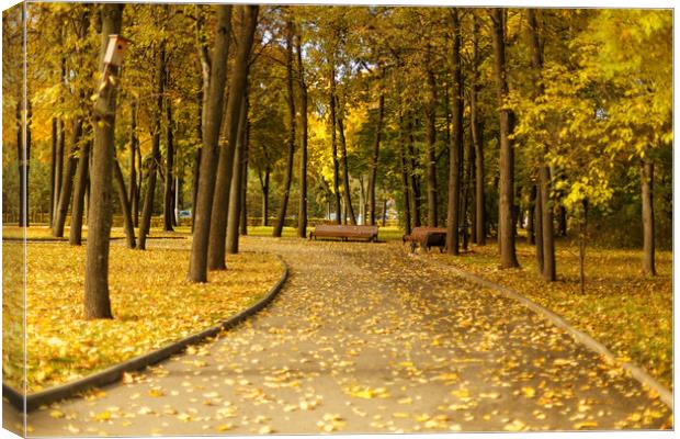 Benches in the autumn park Canvas Print by Gaukhar Yerk