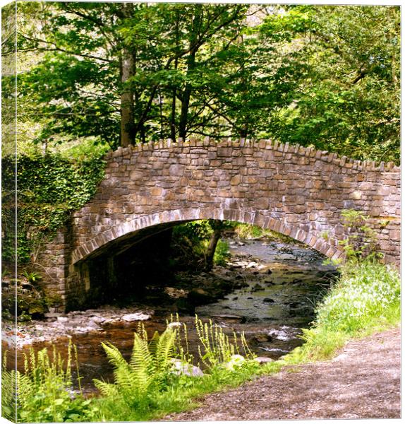 Bridge Across The River Heddon Canvas Print by patricia cannock