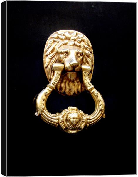 Door knocker Canvas Print by Igor Krylov