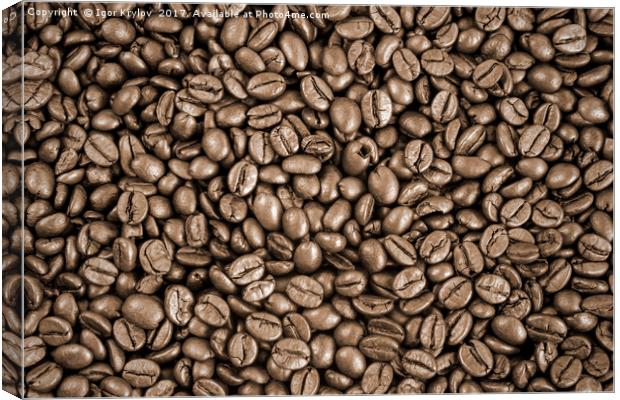 Coffee beans background Canvas Print by Igor Krylov
