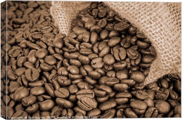 Coffee beans Canvas Print by Igor Krylov