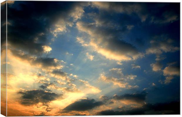 Golden Sky Canvas Print by Jessica Poole