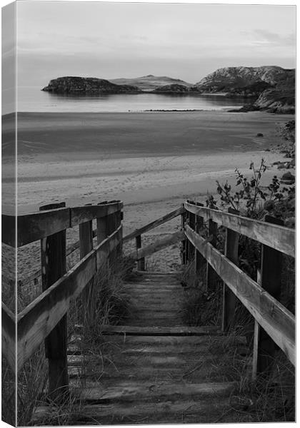 Steps to the Beach (Black and White) Canvas Print by Jessica Poole