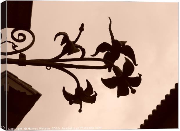 Silhouette of flowers  Canvas Print by Harvey Watson