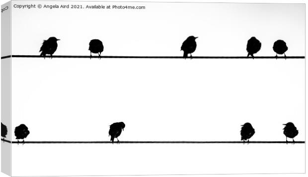 The Starling Line. Canvas Print by Angela Aird