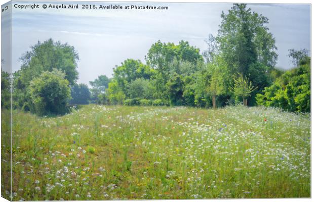 Meadow Canvas Print by Angela Aird