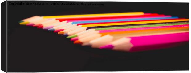 Colours. Canvas Print by Angela Aird