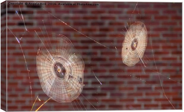 Spinners. Canvas Print by Angela Aird