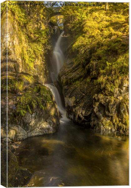 Cumbrian Waterfall. Canvas Print by Angela Aird