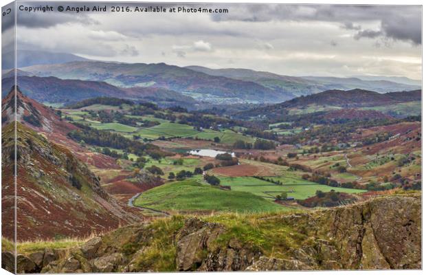 Autumnal Cumbria. Canvas Print by Angela Aird