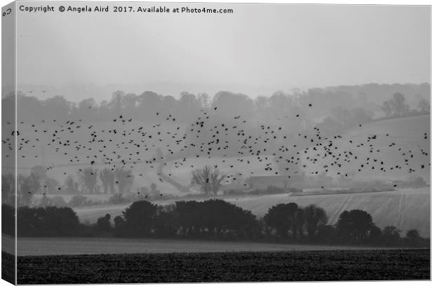 The Flock. Canvas Print by Angela Aird