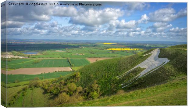 Farmlands. Canvas Print by Angela Aird