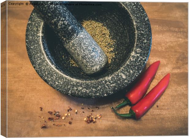 Mortar and Pestle. Canvas Print by Angela Aird