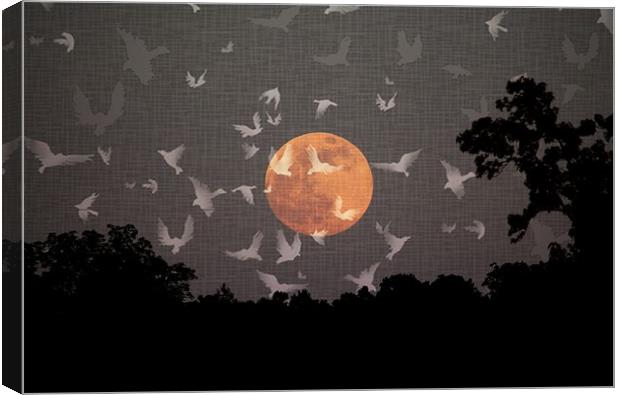 Night Flight Canvas Print by Henry Horton