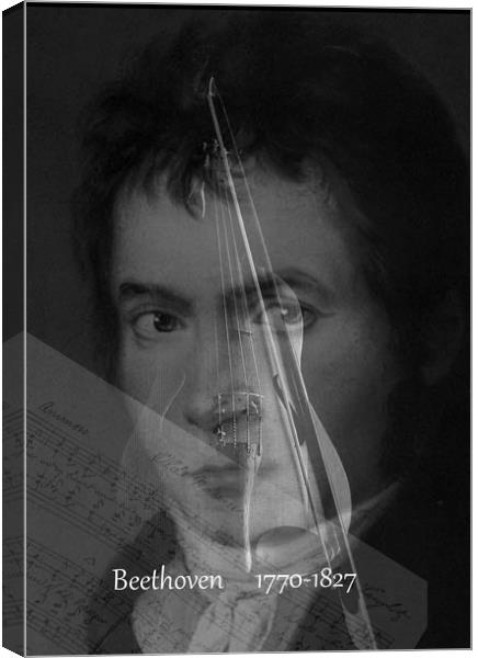 Ludwig Van Beethoven Canvas Print by Henry Horton