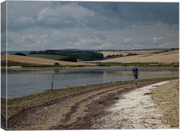 A walk by the lagoon Canvas Print by Henry Horton