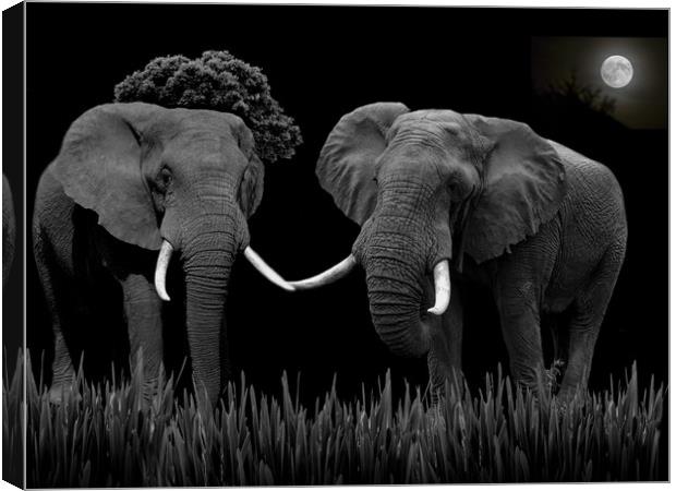 Bull Elephants Compete Canvas Print by Henry Horton