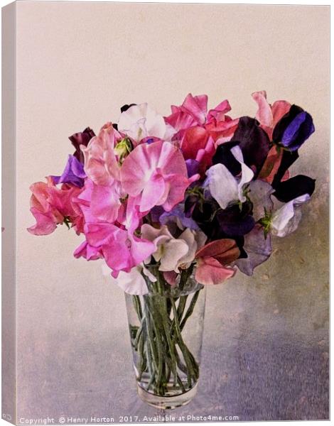 Sweet peas.  Canvas Print by Henry Horton