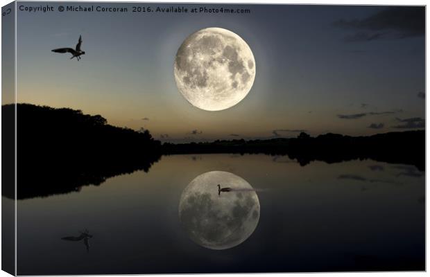 Moonage Daydream  Canvas Print by Michael Corcoran