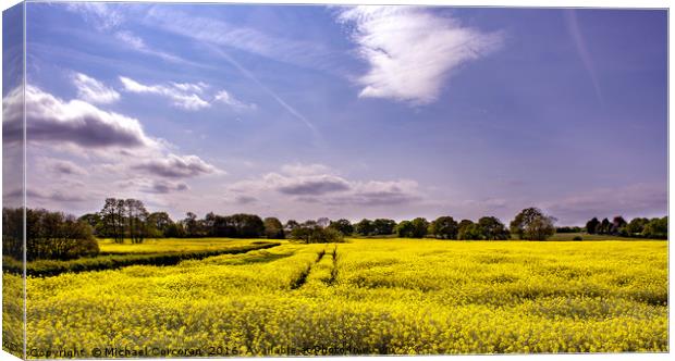 Yellow Field Canvas Print by Michael Corcoran