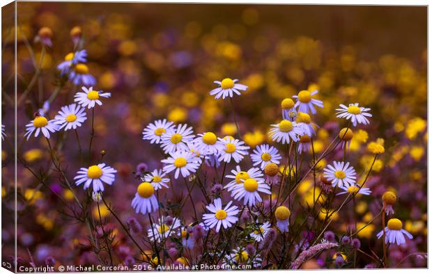 Floral Mix Canvas Print by Michael Corcoran
