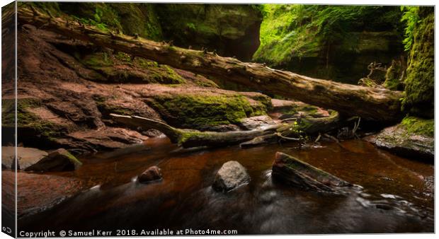 Finnich Glen Canvas Print by Samuel Kerr