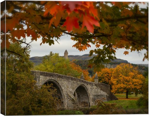 Autumn Frames the Stirling Bridge Canvas Print by Samuel Kerr