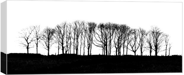 Silhouetted Trees Canvas Print by Scott Middleton
