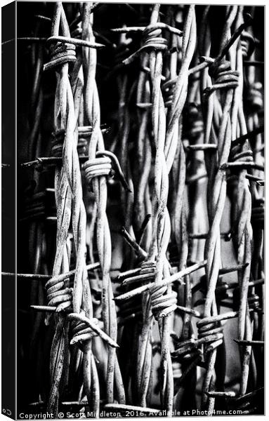 Barbed Wire Canvas Print by Scott Middleton
