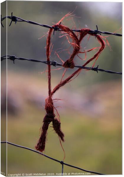 Love heart on barbed wire fence Canvas Print by Scott Middleton