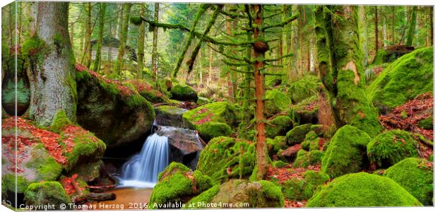 Black Forest waterfall Canvas Print by Thomas Herzog