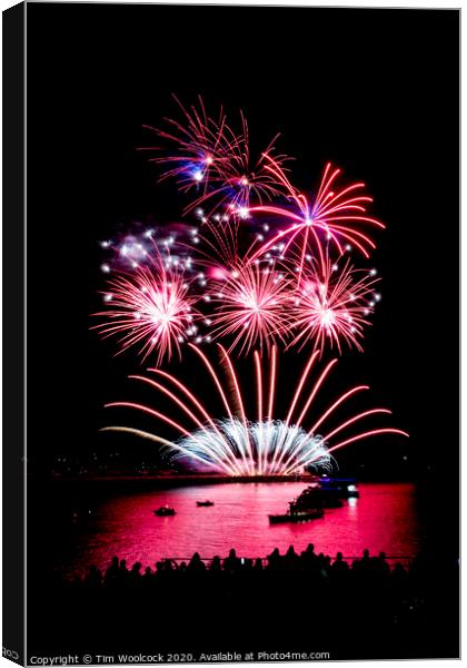 Plymouth National Firework Competition Canvas Print by Tim Woolcock