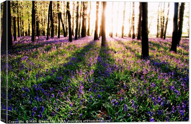 Enchanting Bluebell Forest Canvas Print by Mark Greenwood