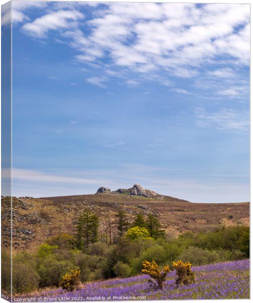 Haytor View Canvas Print by Bruce Little