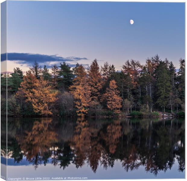 Enchanting Moonrise over Still Waters Canvas Print by Bruce Little
