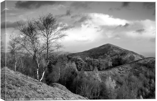 Malverns Ridge Canvas Print by Bruce Little