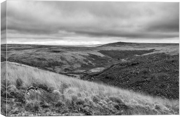 Distant Fur Tor Canvas Print by Bruce Little