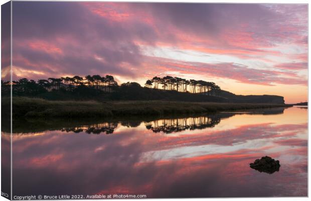Pre-Dawn Pinks at Budleigh Salterton Canvas Print by Bruce Little