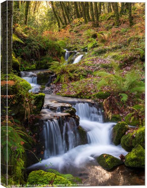 Enchanting Dartmoor Waterfall Canvas Print by Bruce Little