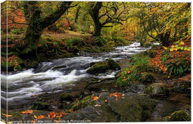 Autumnal Dartmoor River Canvas Print by Bruce Little