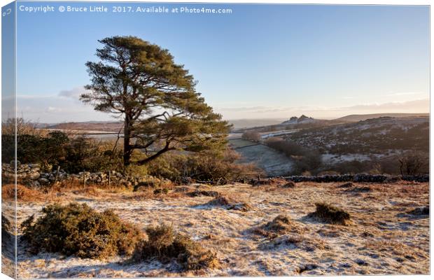 Frosty Morning at Honeybag Tor, Dartmoor Canvas Print by Bruce Little