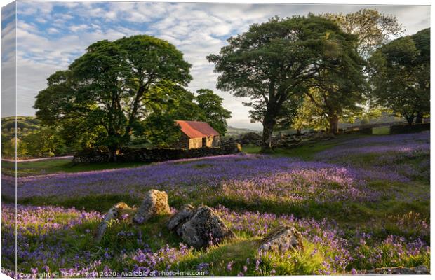 Enchanting Bluebell Carpet at Emsworthy Barn Canvas Print by Bruce Little