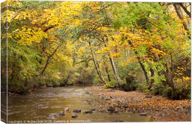 Autumnal Dartmoor Canvas Print by Bruce Little