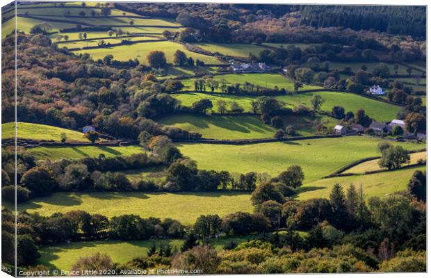 Dartmoor Patchwork Canvas Print by Bruce Little