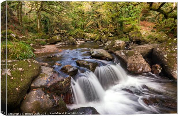 Falls on the Plym, Dewerstone Woods Canvas Print by Bruce Little