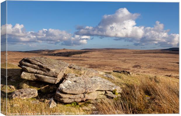 View from Rival Tor, Dartmoor Canvas Print by Bruce Little