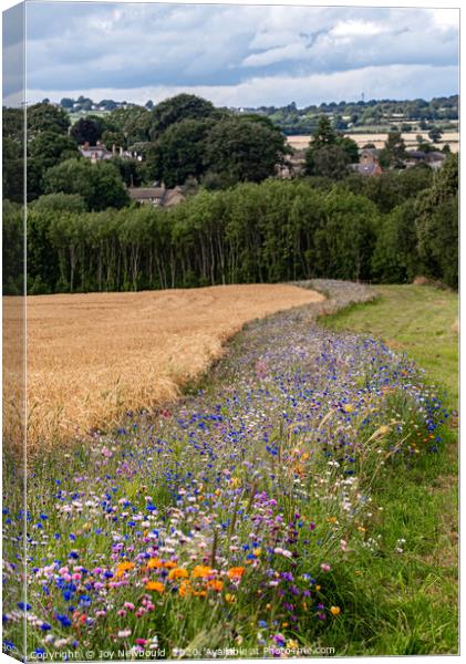 Wild Flowers surrounding a field of Barley Canvas Print by Joy Newbould