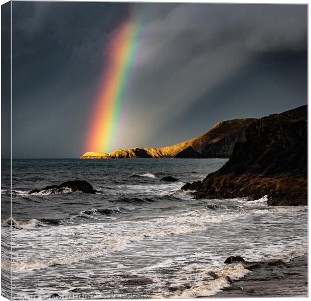 Rainbow light on headland at Cardigan Bay Canvas Print by Joy Newbould