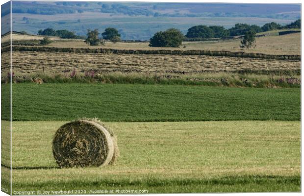 Hay Bale Canvas Print by Joy Newbould