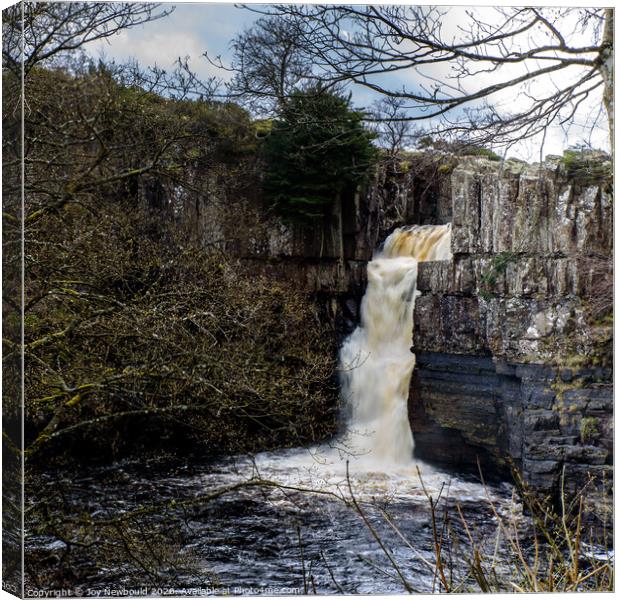 High Force Waterfall - Teesdale Canvas Print by Joy Newbould